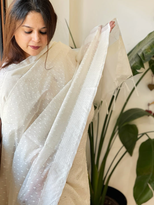 Handwoven Chanderi Dupatta with Self Design - Masakalee