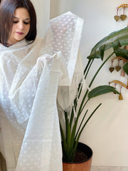 Handwoven Chanderi Dupatta with Self Design - Masakalee
