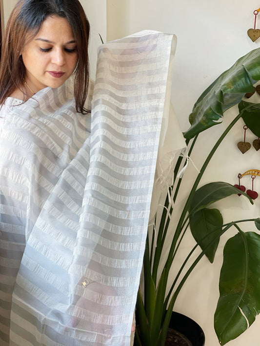 Handwoven Chanderi Zari Dupatta - Masakalee