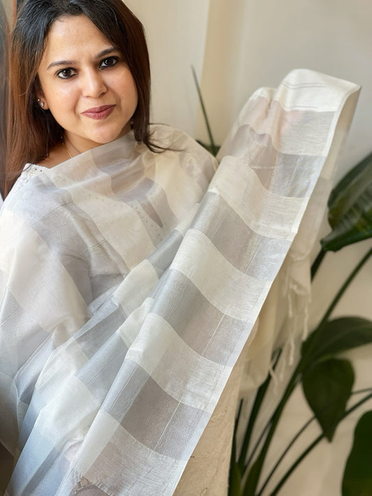 Handwoven Chanderi Zari Dupatta - Masakalee