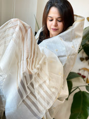 Ivory Handwoven Chanderi Dupatta with Zari Butas - Masakalee