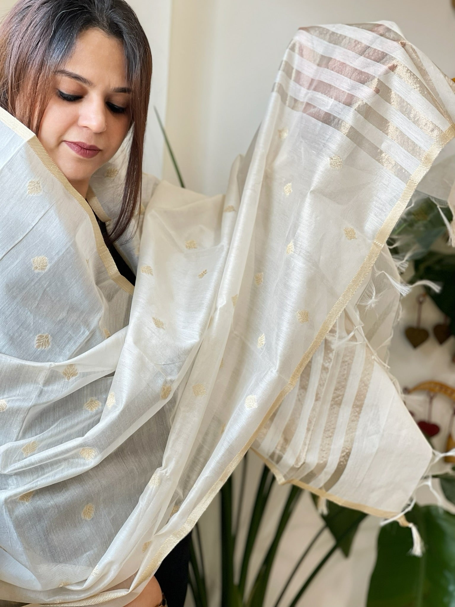 Ivory Handwoven Chanderi Dupatta with Zari Butas - Masakalee
