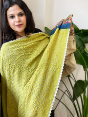 Lime Green Rai Bandhej Dupatta with Handpainted Kalamkari Pallu in Pure Muga Silk - Masakalee