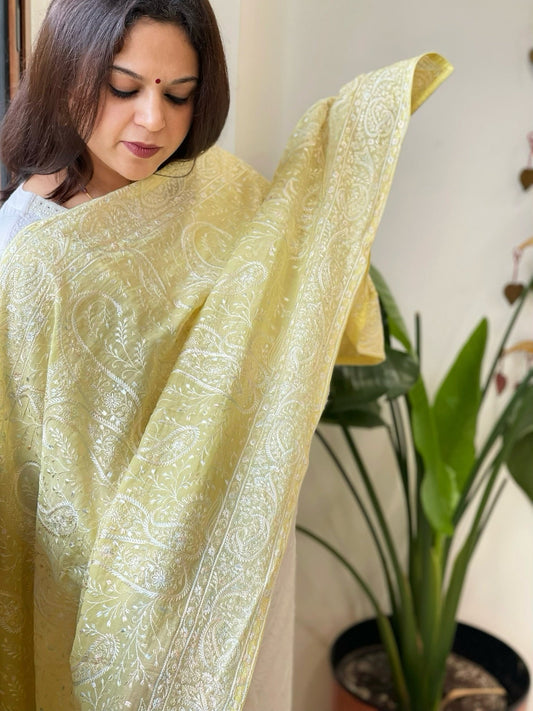 Lime Yellow Kashmiri Aari Embroidery dupatta in Mul - Masakalee