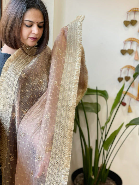 Lite Onion Pink Crushed Tissue Dupattas with Cut Daana, Sequin Work and Gota Border - Masakalee