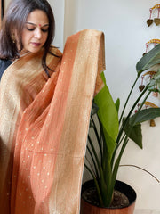 Lite Orange Woven Banarasi Dupatta in Tissue - Masakalee