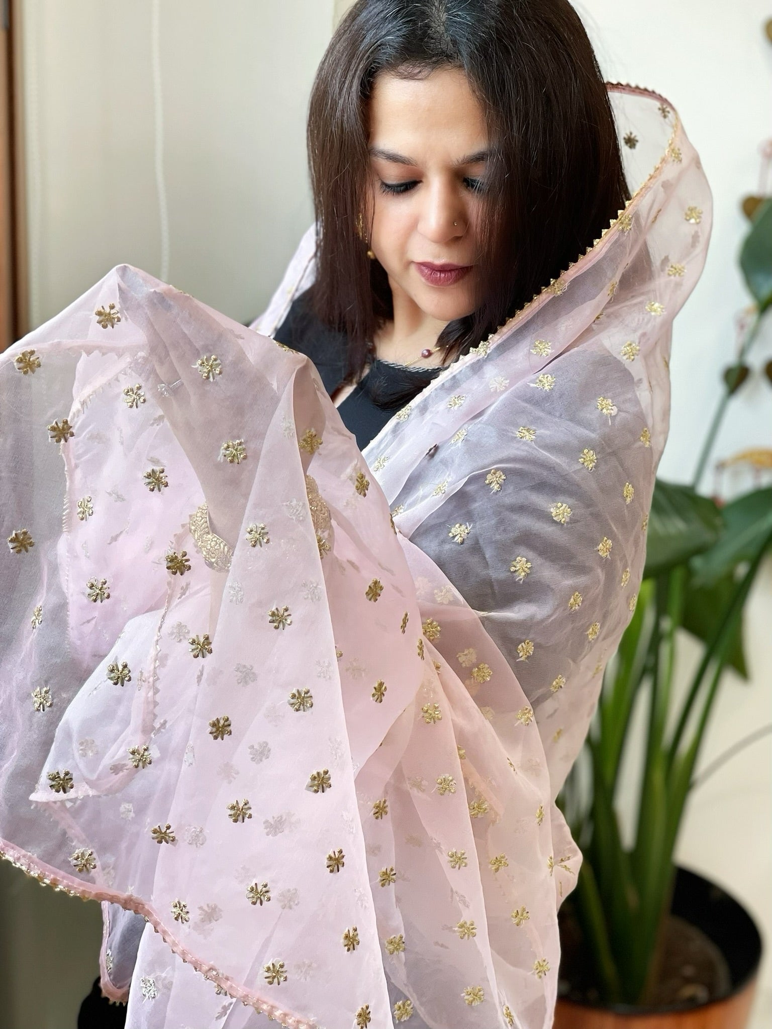 Lite Pink Organza Dupatta with Pitta Work Butas and Gota Lace Border - Masakalee
