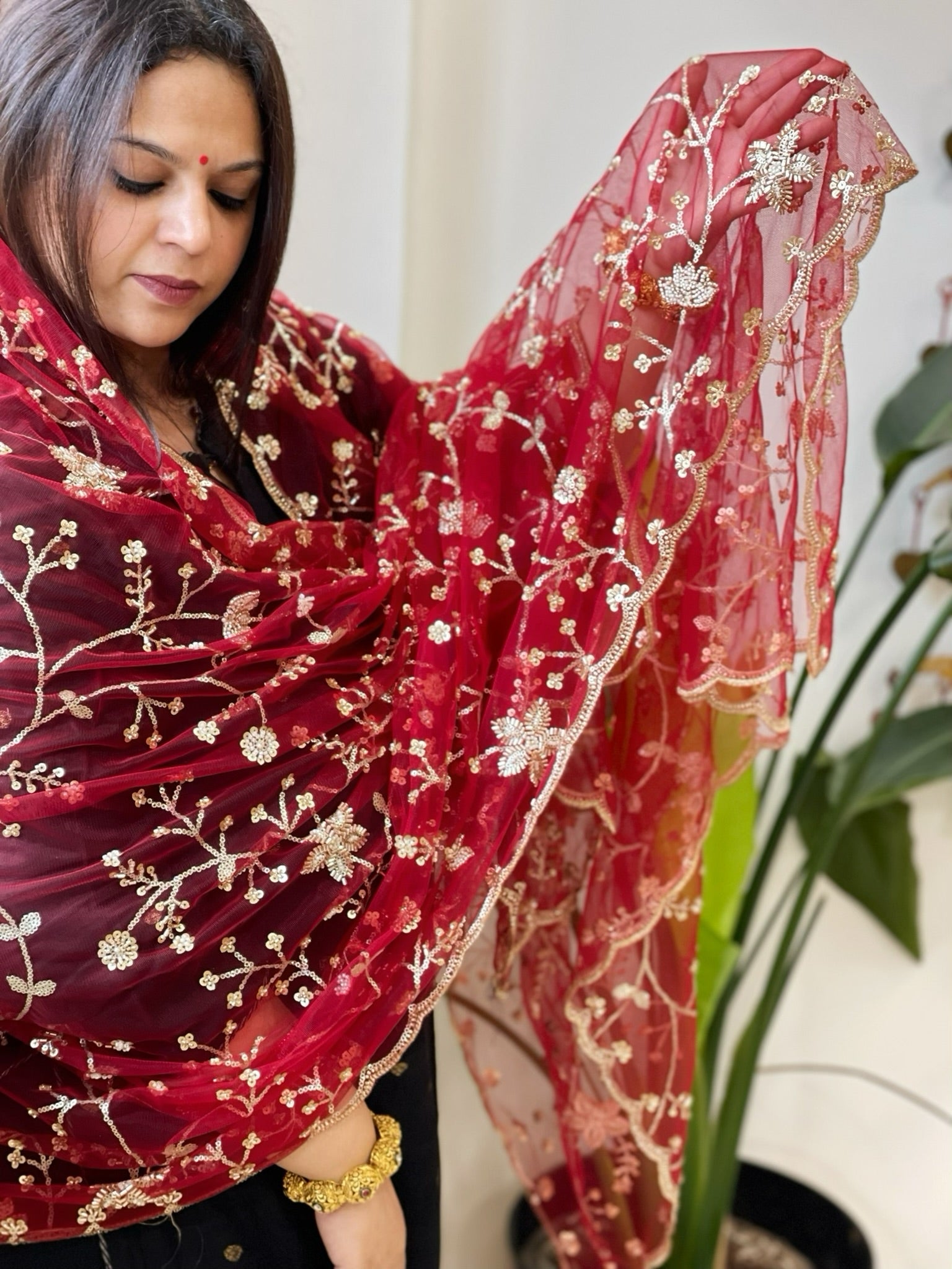 Maroon Net Dupatta with Sequin and Cut Daana Embroidery - Masakalee