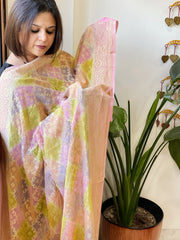 Multicolor Handwoven Banarasi Rangkhat Dupatta in Pure Georgette - Masakalee