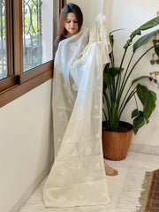 Off - White Cotton Dupatta with Embroidery - Masakalee