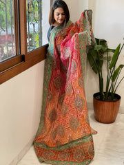 Orange, Pink Chinon Dupatta with Aari Embroidery - Masakalee