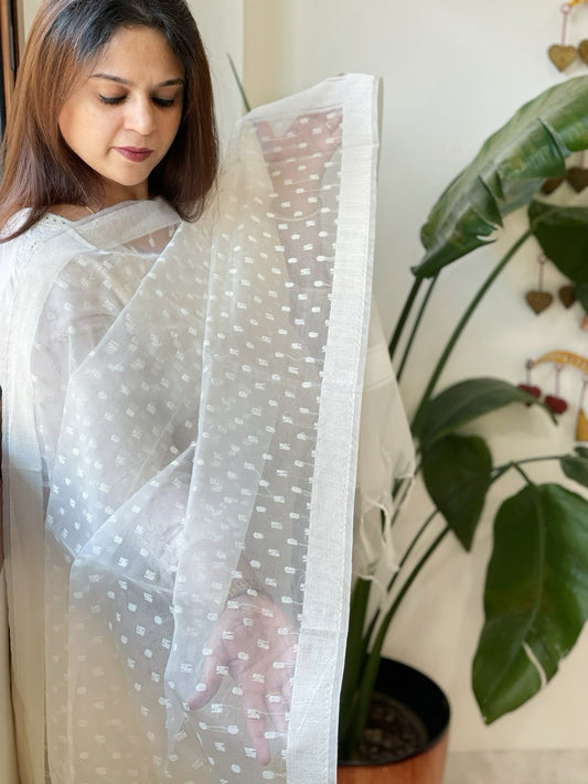 Organza Dupatta with Zari Self Design - Masakalee