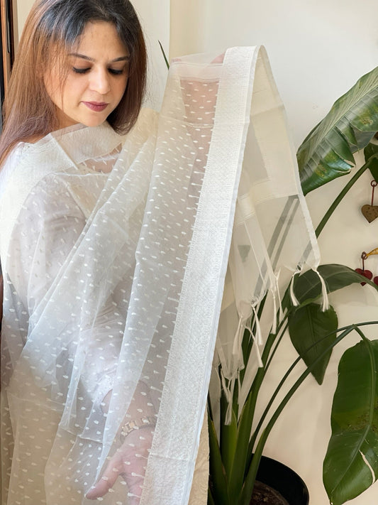 Organza Dupatta with Zari Self Design - Masakalee