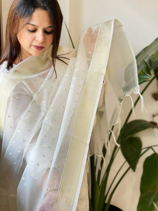 Organza Dupatta with Zari Weaving - Masakalee