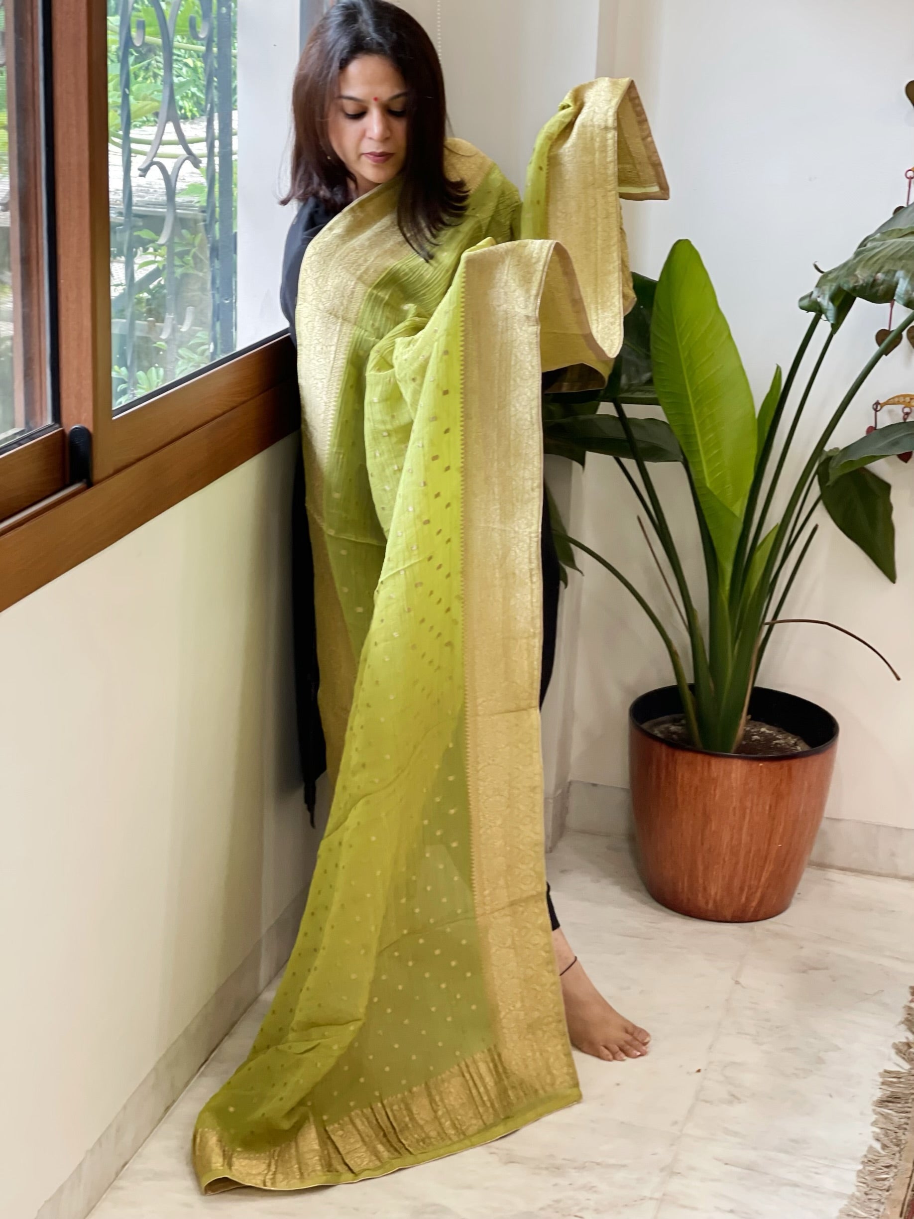 Parrot Green Woven Banarasi Dupatta in Tissue - Masakalee