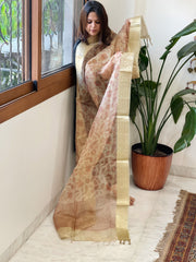 Printed Kota Tissue Dupatta with Zari Border - Masakalee