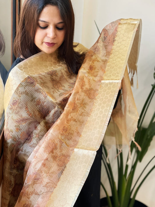 Printed Kota Tissue Dupatta with Zari Border - Masakalee