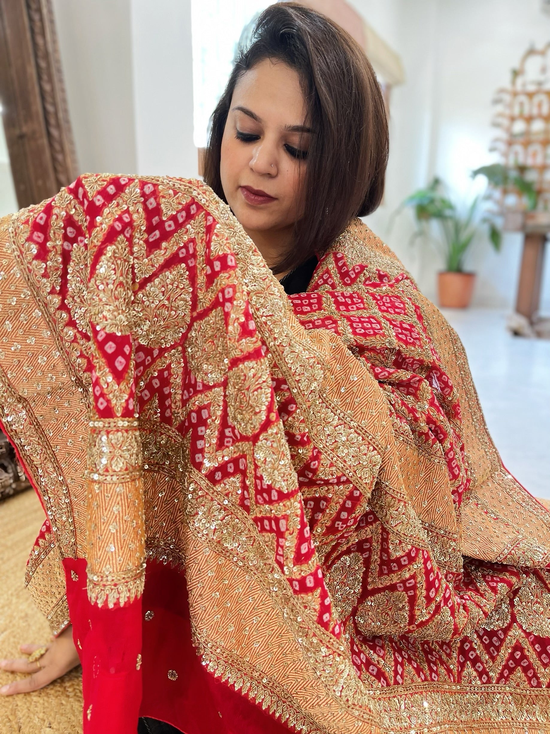 Red Handwoven NeemZari Bareek Bandhani with Meenakari and Dabka Handwork in Pure Georgette - Masakalee