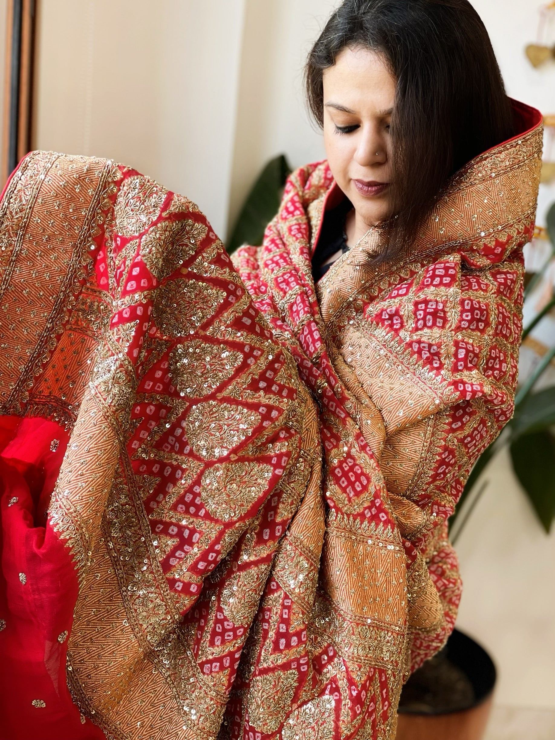 Red Handwoven NeemZari Bareek Bandhani with Meenakari and Dabka Handwork in Pure Georgette - Masakalee