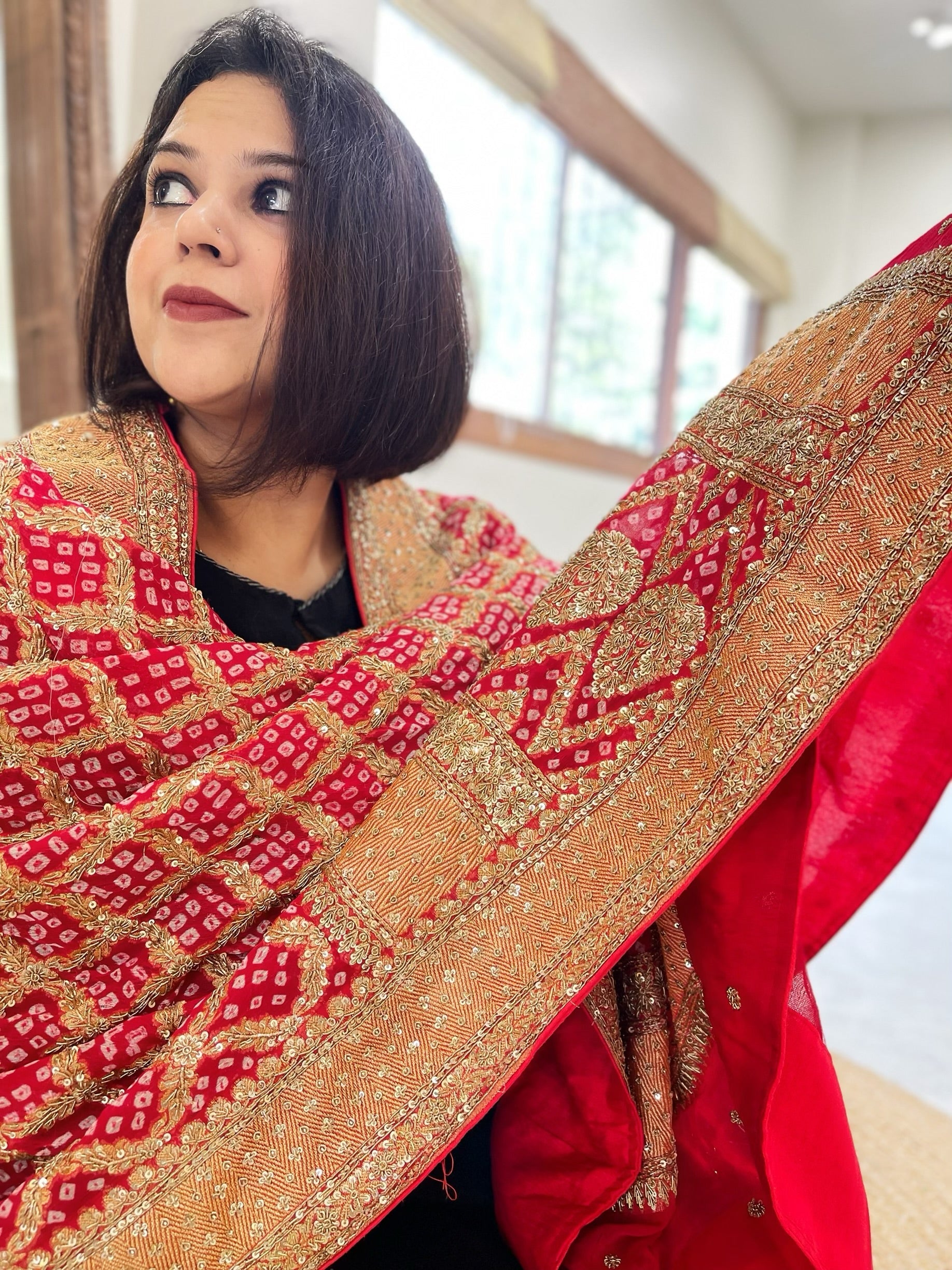 Red Handwoven NeemZari Bareek Bandhani with Meenakari and Dabka Handwork in Pure Georgette - Masakalee
