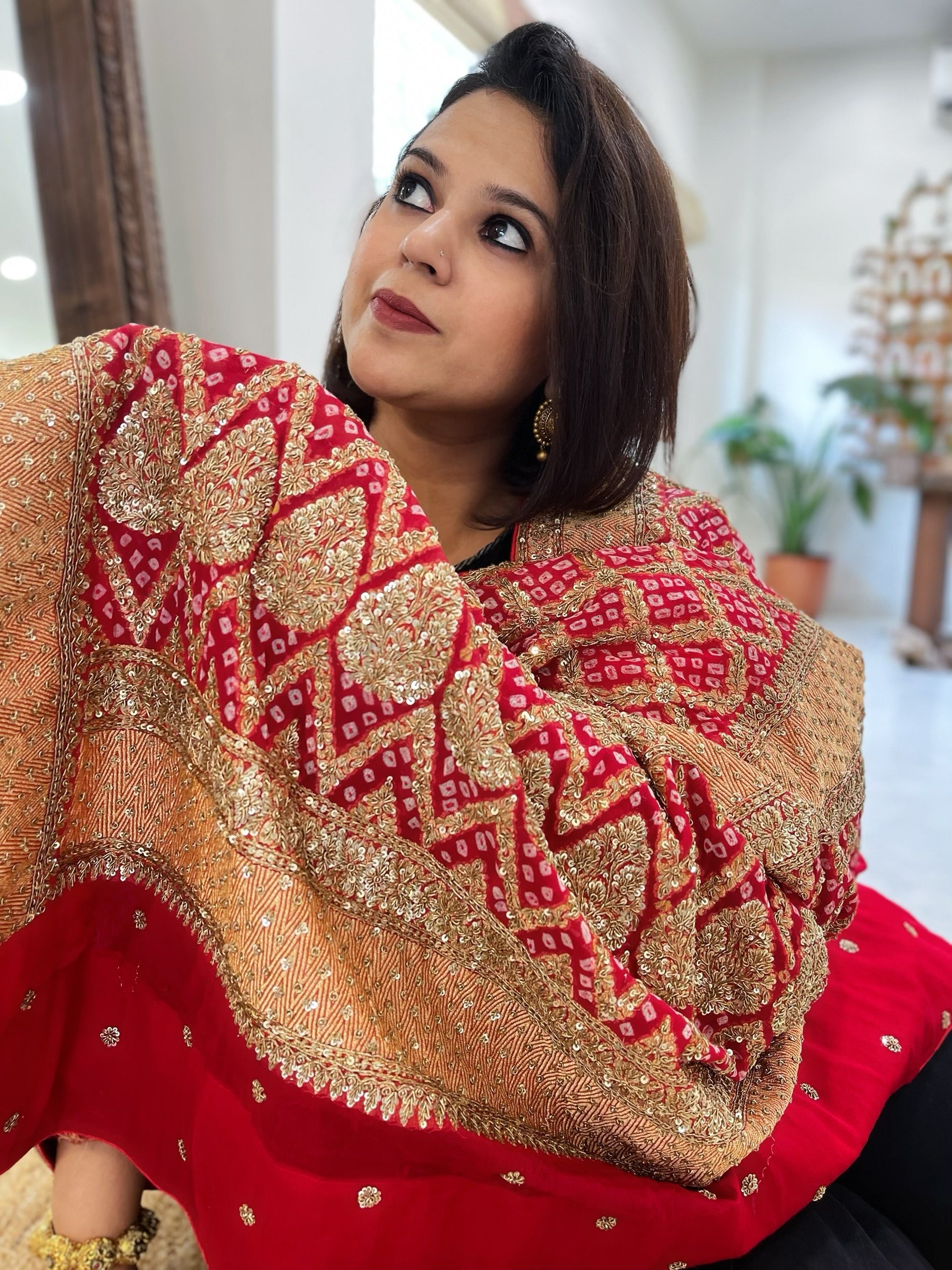 Red Handwoven NeemZari Bareek Bandhani with Meenakari and Dabka Handwork in Pure Georgette - Masakalee