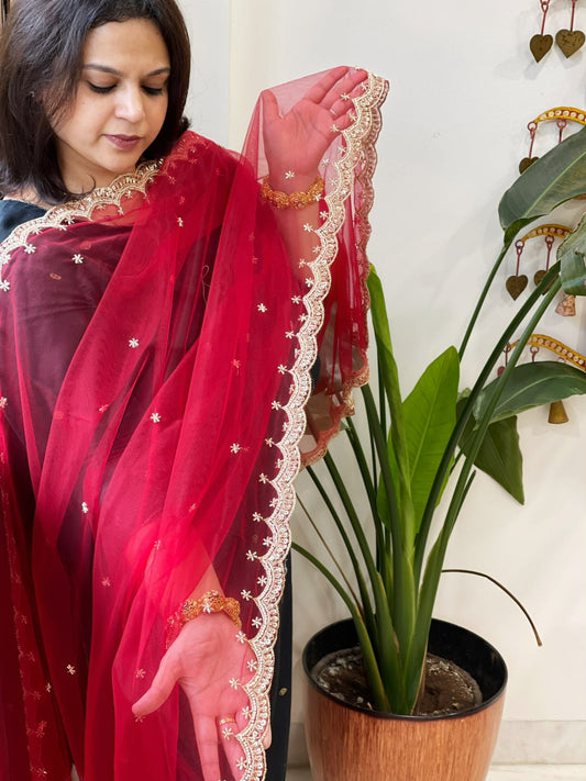 Red Net Dupatta with Pearl, Sequin and Cut Daana Embroidery - Masakalee