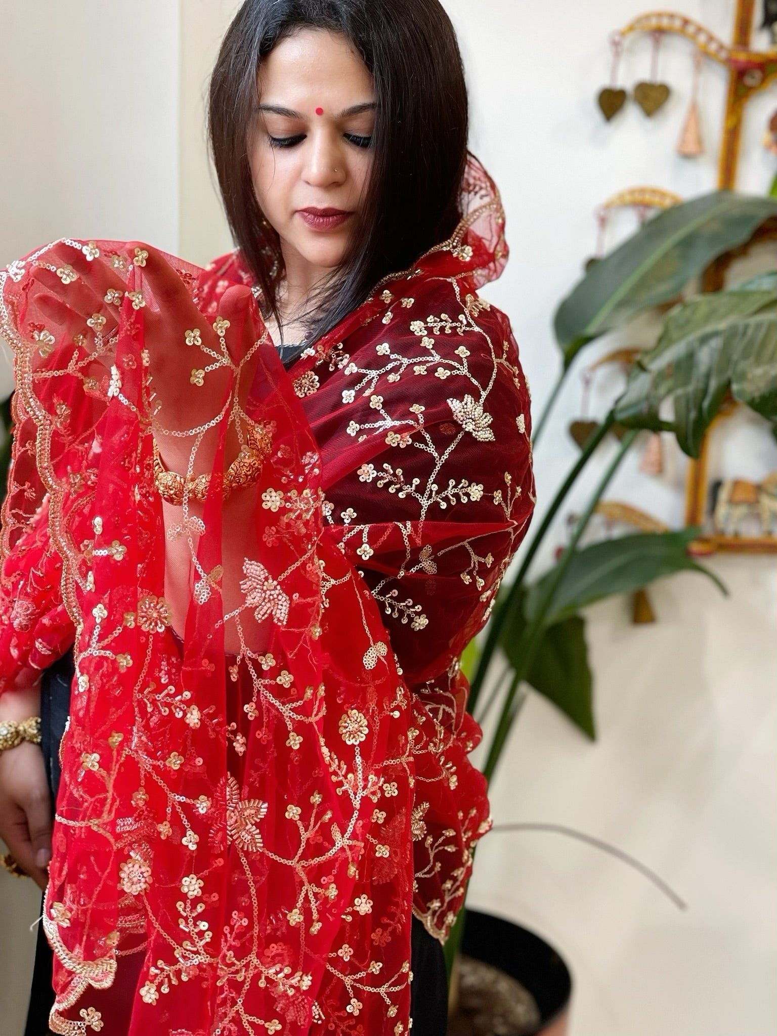 Red Net Dupatta with Sequin and Cut Daana Embroidery - Masakalee