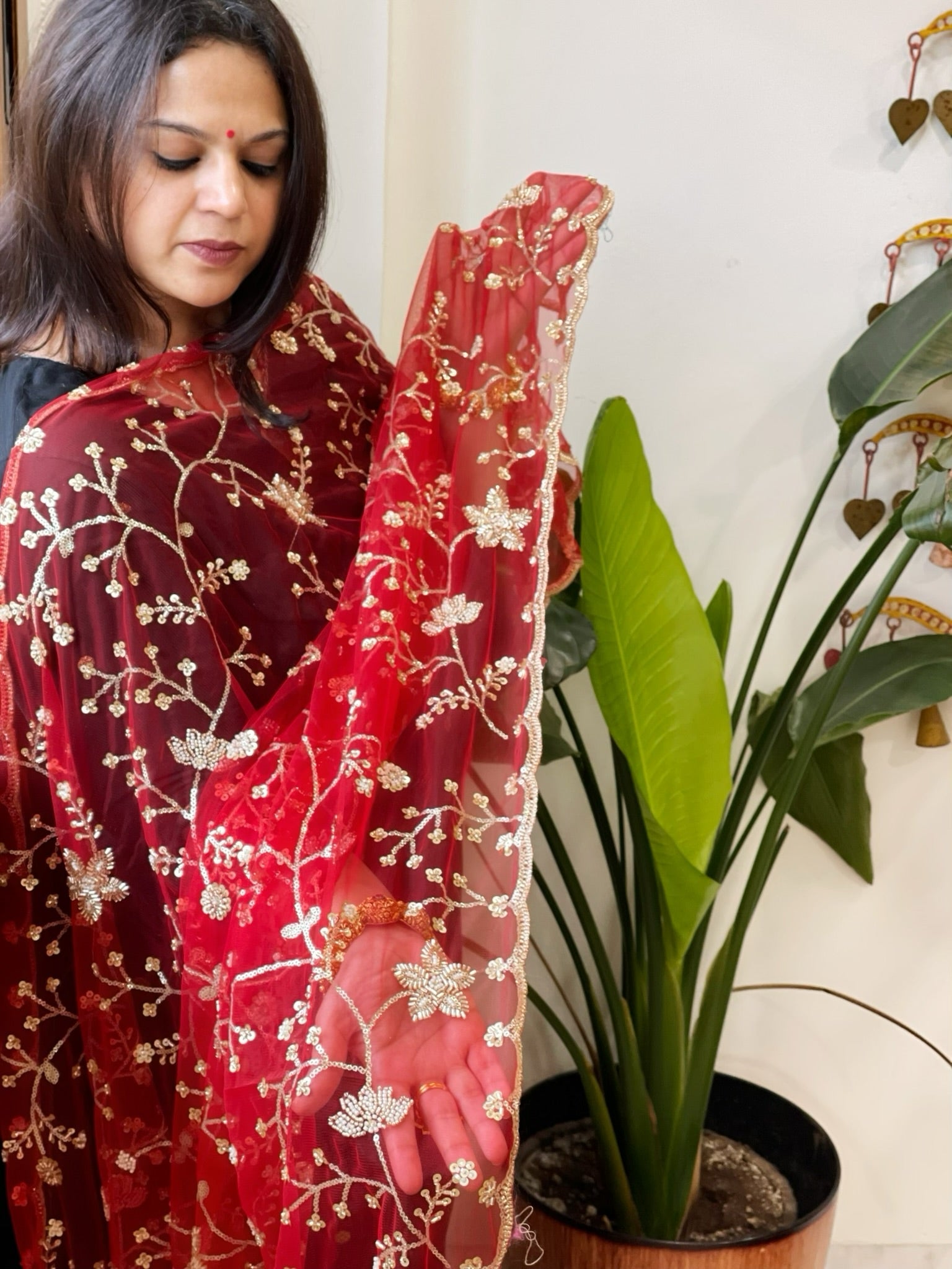 Red Net Dupatta with Sequin and Cut Daana Embroidery - Masakalee