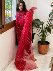 Red Organza Dupatta with Pitta Work Butas and Gota Lace Border - Masakalee