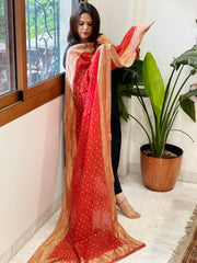 Red Woven Banarasi Dupatta in Tissue - Masakalee
