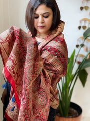 Reddish Rust Ajrakh Handblock Printed Organza Dupatta with Banarasi Border - Masakalee
