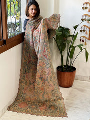 Salmon Pink Chinon Dupatta with Aari Embroidery - Masakalee