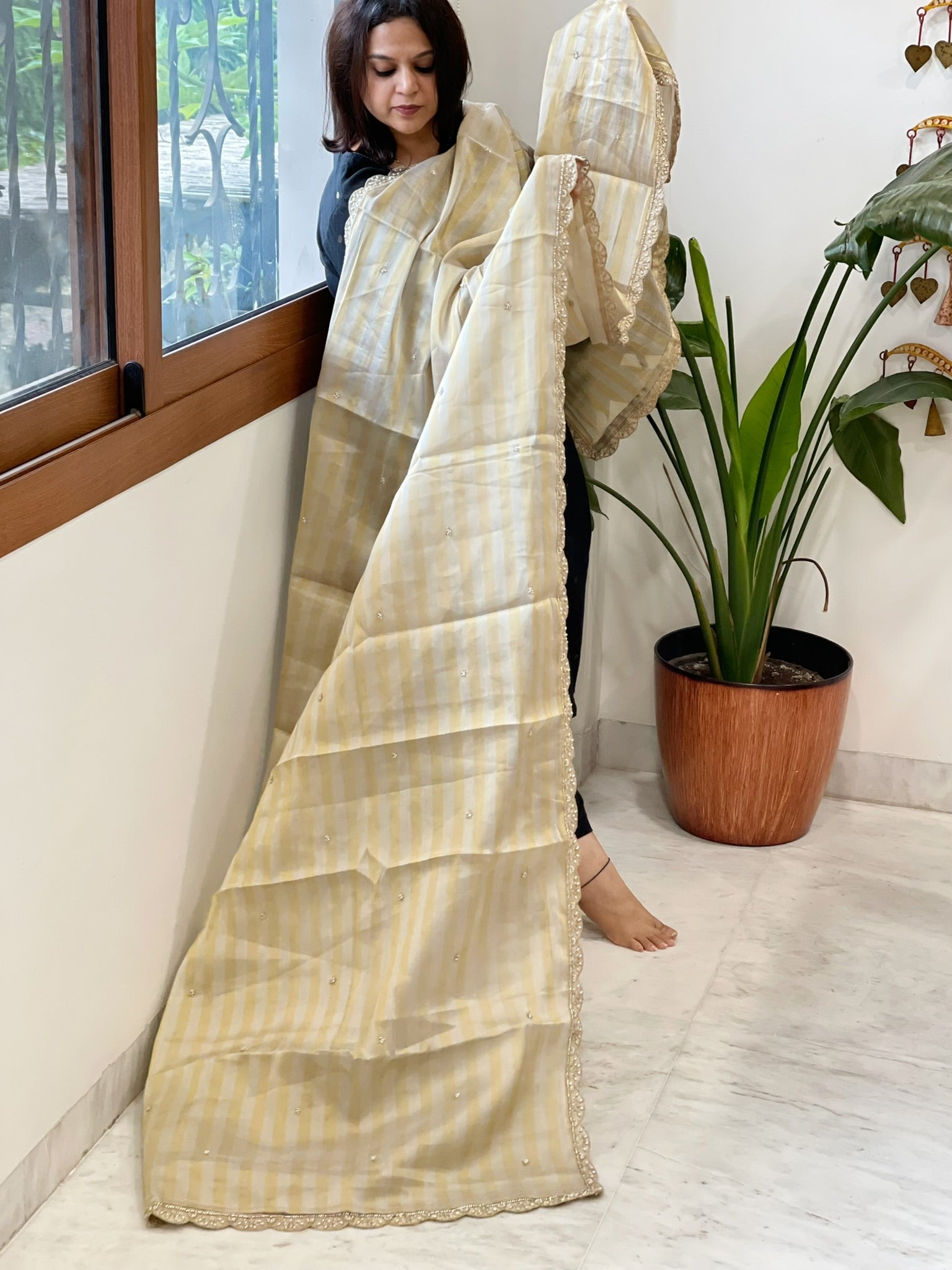 Tissue Chanderi Dupatta with Pearl, Cut Daana Handwork - Masakalee