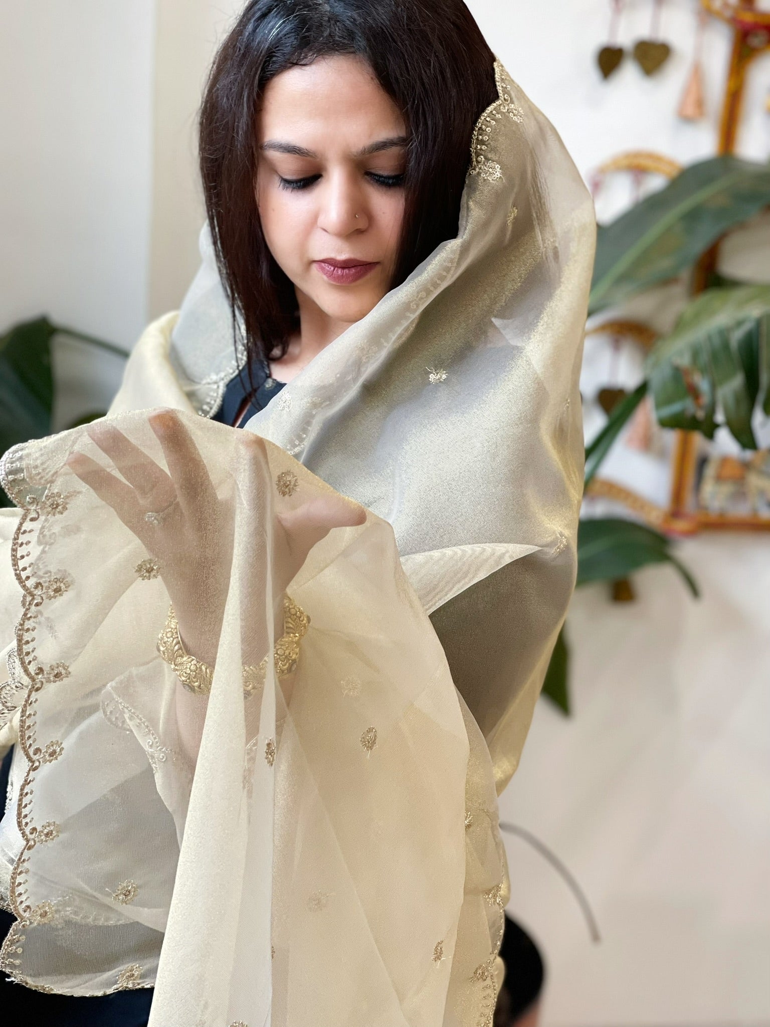 Tissue Organza Dupatta with Sequin Work - Masakalee