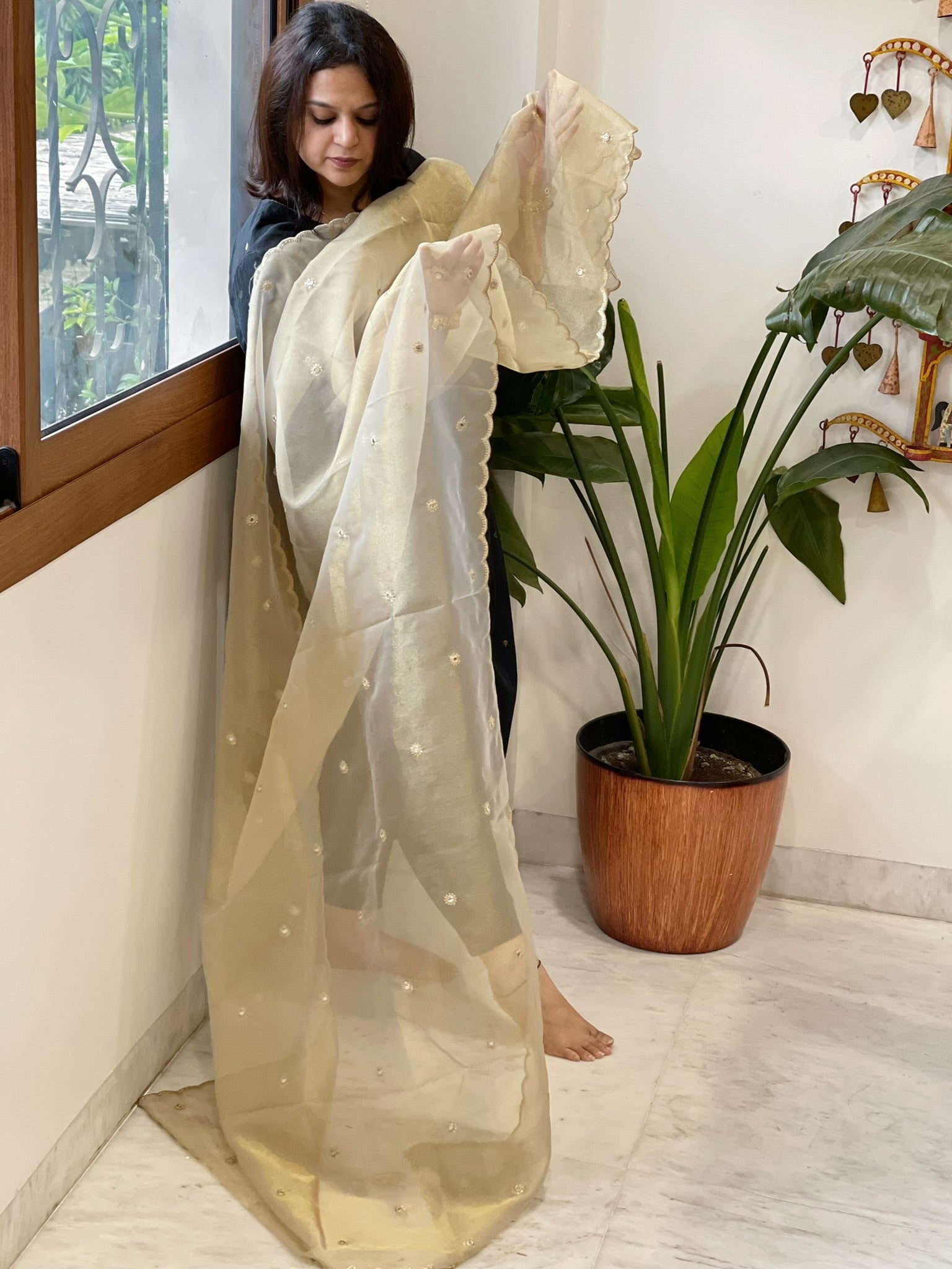 Tissue Organza Dupatta with Sequin Work - Masakalee