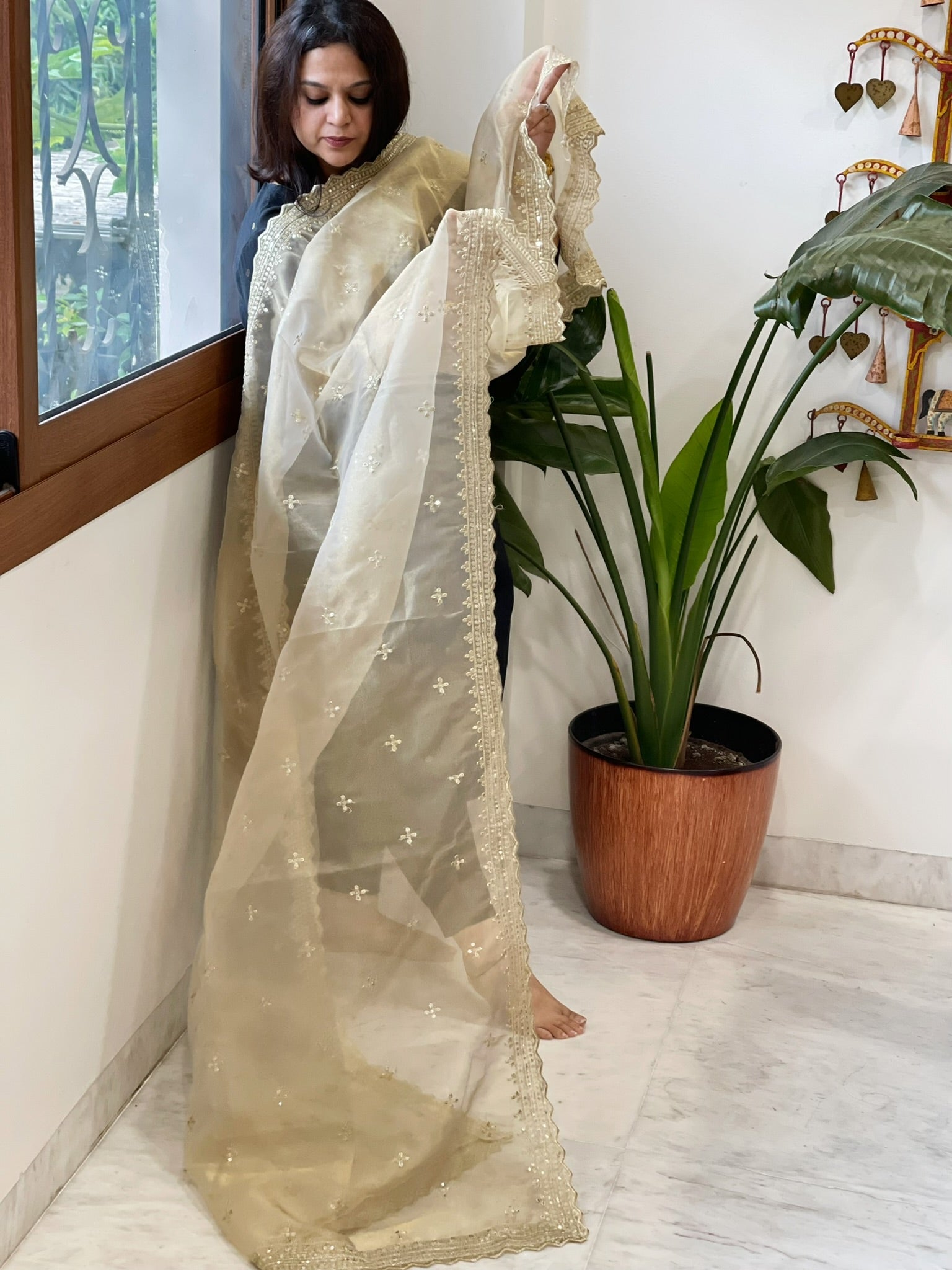 Tissue Organza Dupatta with Sequin Work - Masakalee