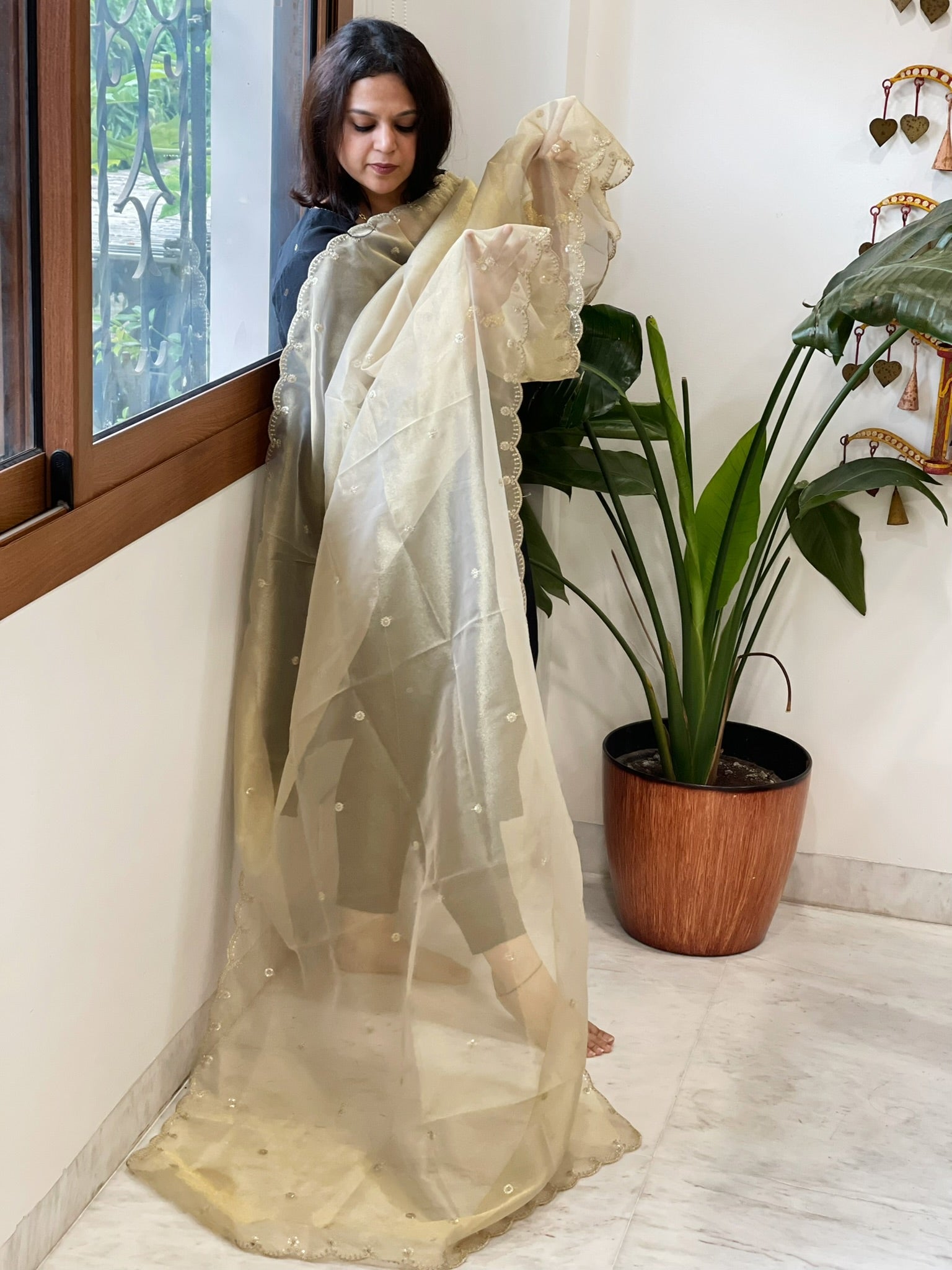 Tissue Organza Dupatta with Sequin Work - Masakalee