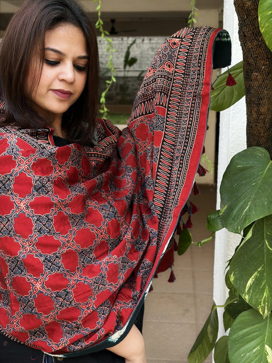 Rust Ajrakh Handblock Printed Silk-Woollen Shawl
