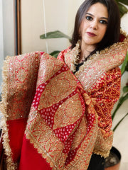 Tomato Red Handwoven NeemZari Bareek Bandhani with Sequin, Dabka Handwork in Pure Georgette