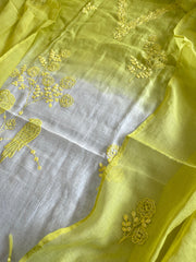 Suit Set with Thread Embroidery in Mul Chanderi