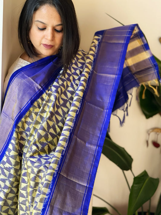 Ivory Handwoven Ikat Dupatta in Pure Silk