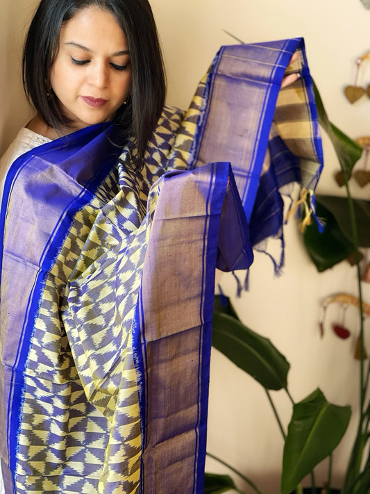 Ivory Handwoven Ikat Dupatta in Pure Silk