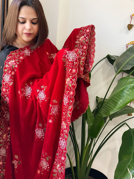 Red Velvet Dupatta with Thread & Sequin Embroidery