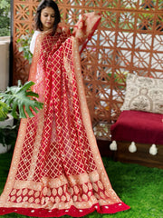 Red Handwoven NeemZari Bareek Bandhani with Dabka Handwork in Pure Georgette