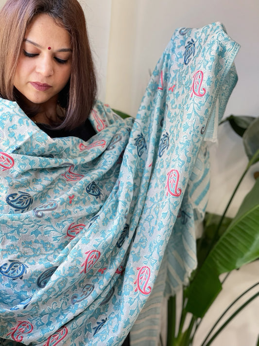Blue, White Woven Pashmina Kaani Shawl with Thread Embroidery