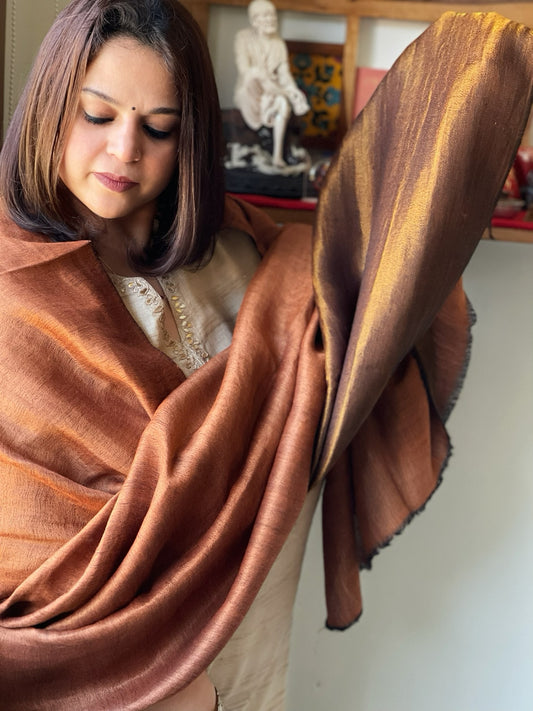 Rust Pashmina Shawl with Zari