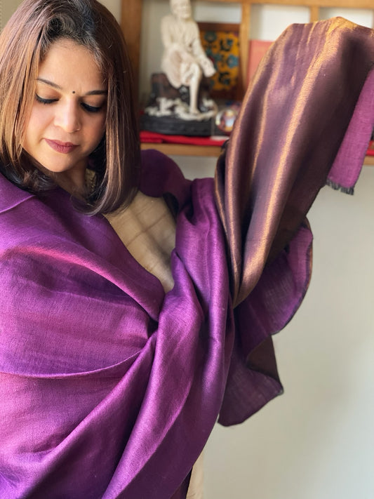 Purple Pashmina Shawl with Zari