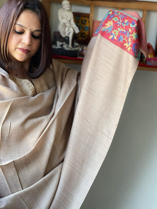 Lite Brown Woven Pashmina Shawl with Kaani Pallu