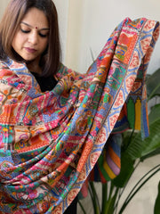 Woven Pashmina Kalamkari Shawl with Thread Embroidery