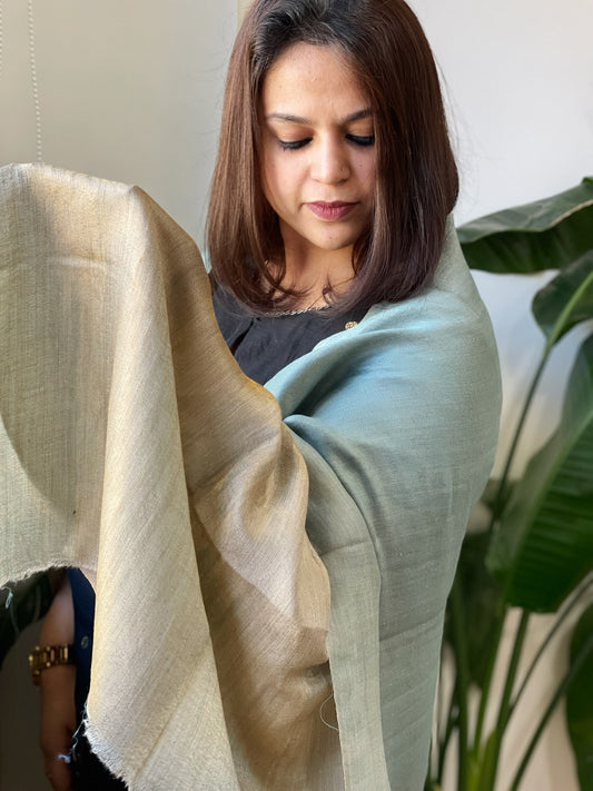 Aqua Blue Pashmina Stole with Zari